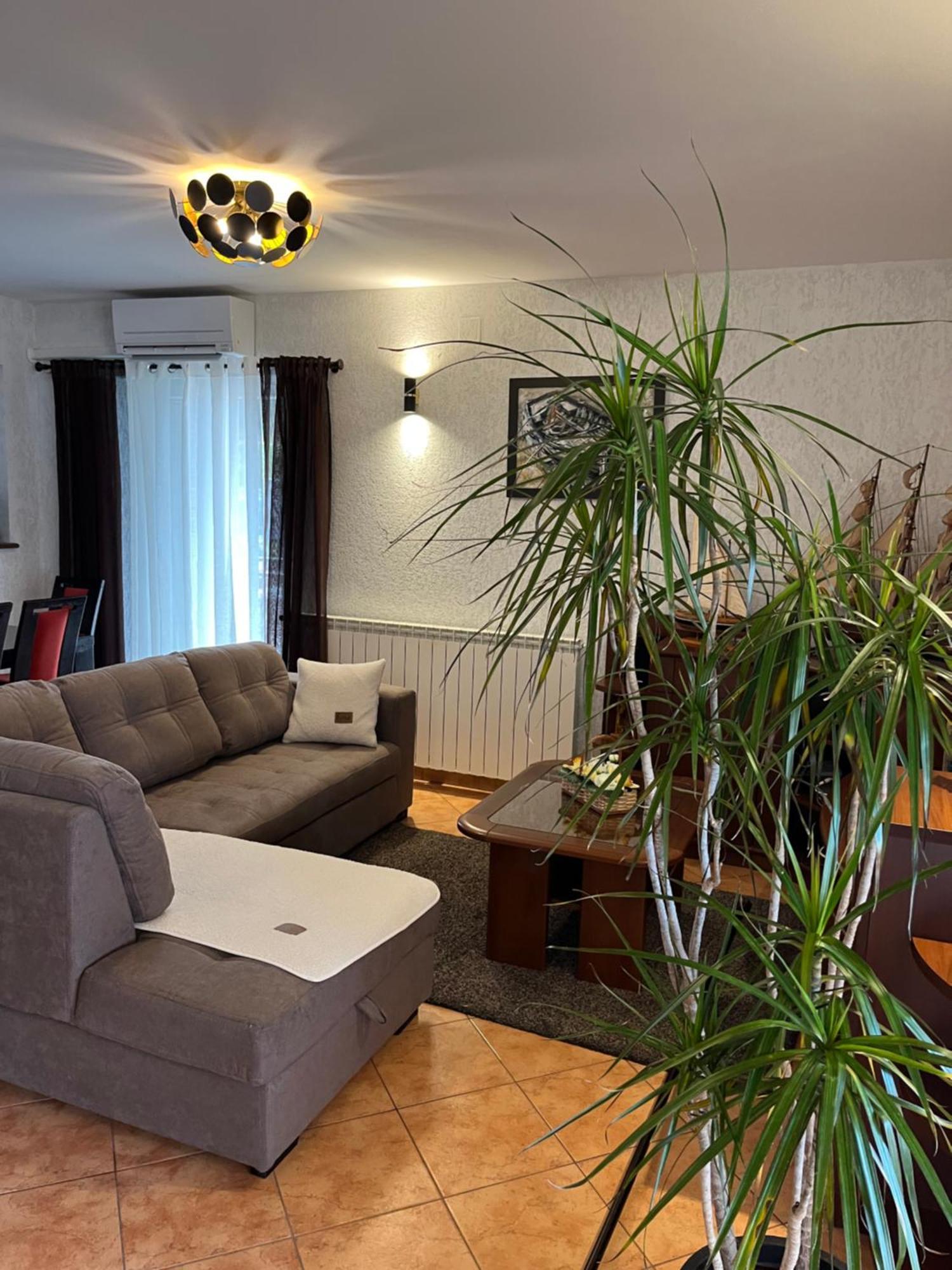 Apartments Vunic มอชเชนิชกา ดรากา ภายนอก รูปภาพ